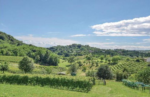 Il Glicine - Photo 31