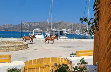 Thalassea house2 Lipsi - Foto 1