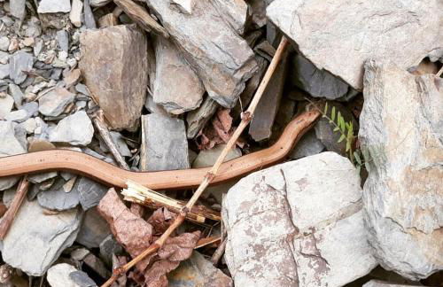 Ferienwohnungen Lithos - Foto 12