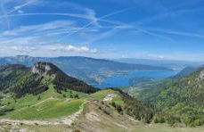 C le birdie - Foto 46