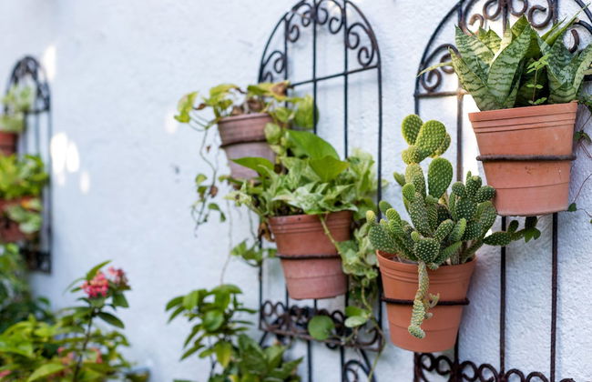 Merida Serviced Apartments - Foto 47