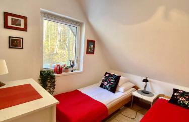 Klimatyczny dom z widokiem na Babią - kominek i ogrodzenie - Foto 28