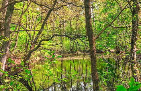 Ferienhaus Pruchten - Foto 15