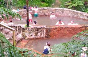 Character 2BR Upper Retreat with BBQ Terrace Parking - Photo 87