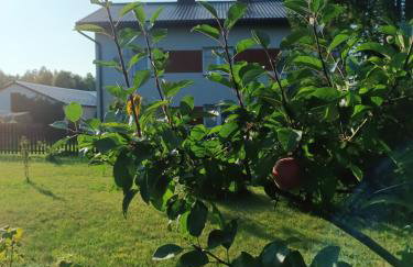 Zielone Kaszuby - agroturystyka z jacuzzi - Photo 31