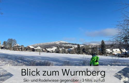 LaLeLou Braunlage, perfekt für Familien, zentral mit Garten 120qm, inkl Wäschepaket und WLAN, Boxspringbett, 6 Personen - Foto 55