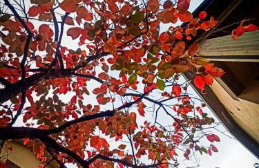 Casa Furia - Foto 44