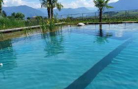 Oberberghof - Foto 46