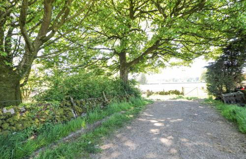 Meadow View - Photo 47