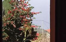 Anastasia s Cottage in Pelion - Foto 50