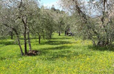 La casina delle bimbe - Foto 11