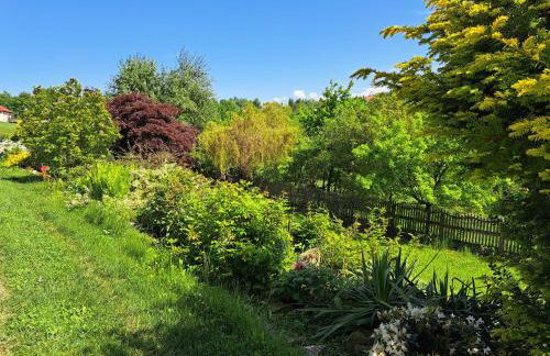 Brzozowy Zakątek - Foto 61