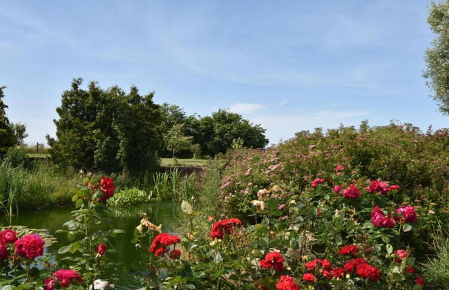 Modern Apartment in Bastorf Near Sea - Foto 69