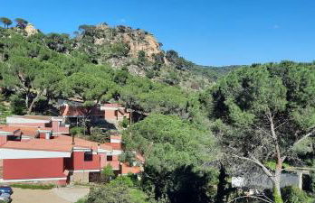Naturaleza en el pantano de San Juan - Foto 35