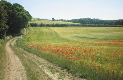 The Old Cowshed - Foto 15