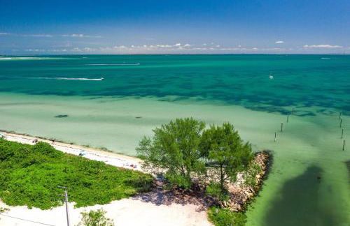 AM I Dreaming - Foto 43