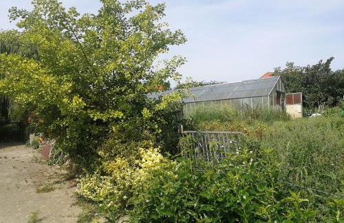 Jennys Hofladen - Foto 13