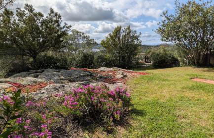 Villetta La Casa Vecchia Baja Sardinia - Foto 17