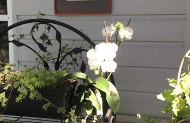 1620 - Short Term Available message Jo-An - Foto 31