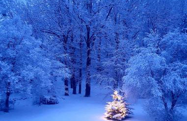 Szczodre Sybillenort blisko Wrocławia - Photo 21