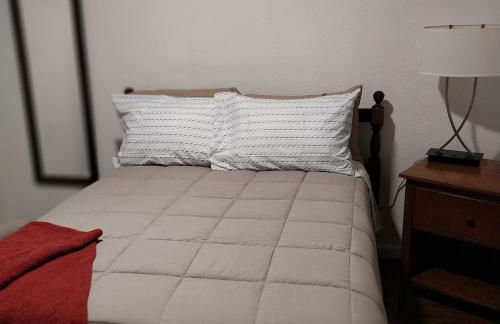 The Elect at Pinewood - Foto 4