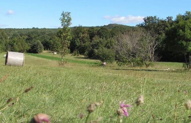 Villa in Tijarica With Private Pool - Foto 37