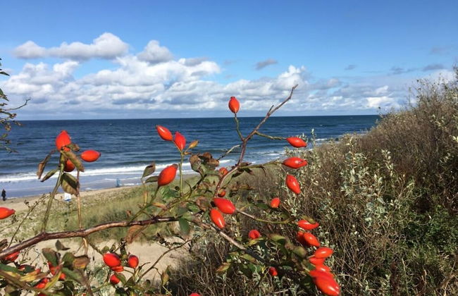 Baltic Sea Dromelhus - Foto 23