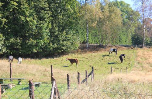 Słoneczna Zagroda - Sunny Ridge Farm - Foto 38