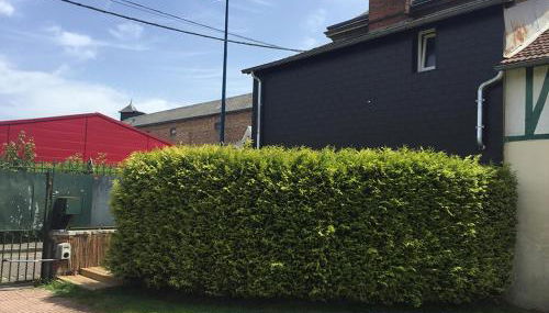 "Le petit Moulinsard" - Photo 2, Garden