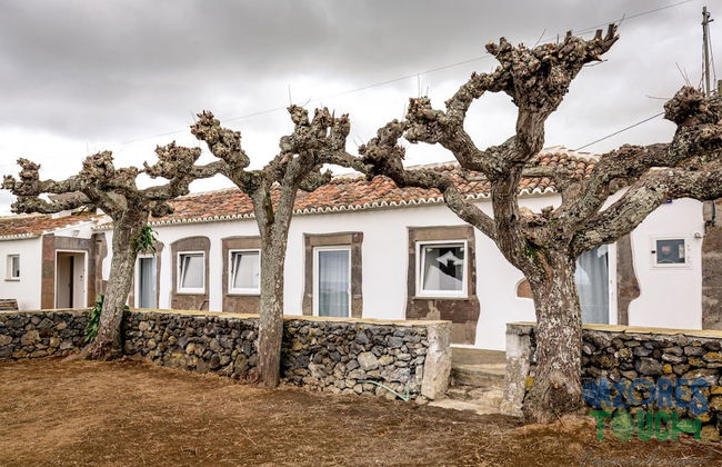 Casa dos Cal os in S o Mateus da Calheta - Photo 23