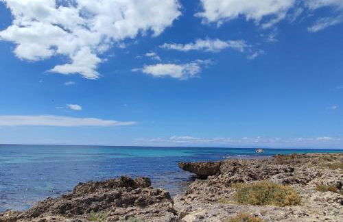 WalMarhouse - Foto 23