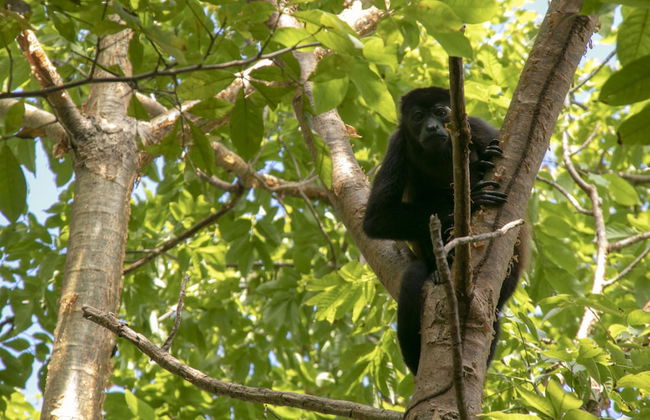 Villas Cabuya Beach & Forest - Foto 64