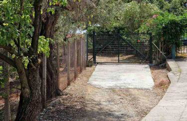 Stella's Garden - Foto 36