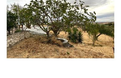 Monte do Saltamontes - Photo 29