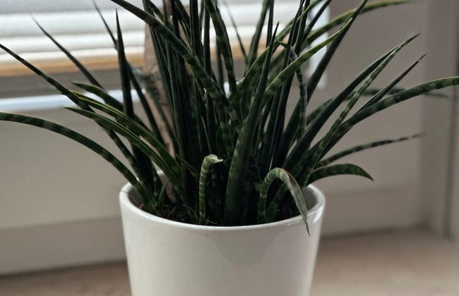 Cozy Apartment With Fireplace and Balcony - Foto 18