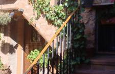 Casas Rurales el Olmo - Foto 18