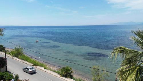 Sunset Oasis - Foto 2