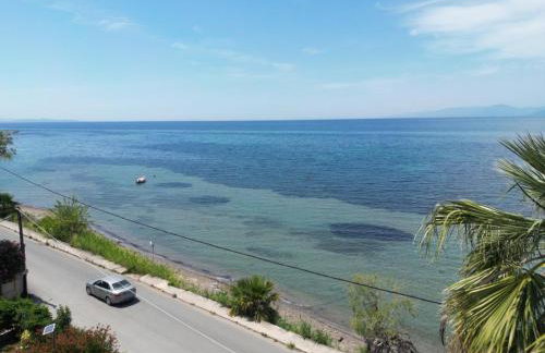 Sunset Oasis - Foto 2