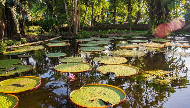 3-Day Amazon Rainforest Tour - Foto 5