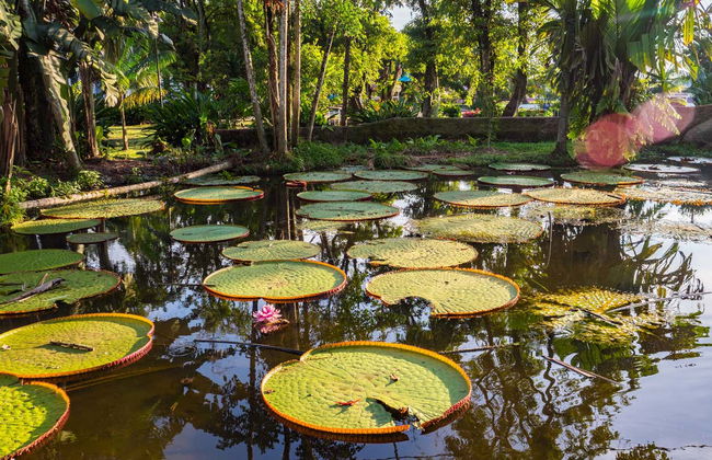 Tour di 3 giorni nella foresta amazzonica - Foto 5