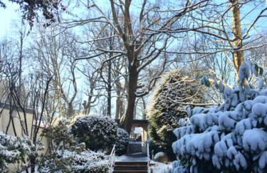 Apartment Centrum im Grünen - Foto 15