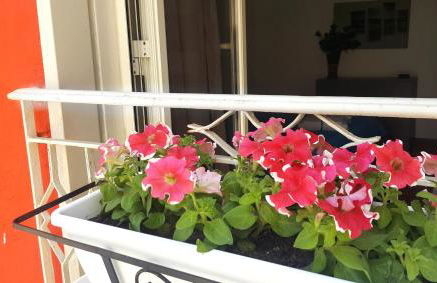 La Finestrella - Foto 53