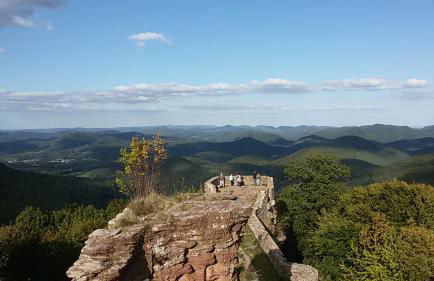 Ferienhaus Becker - Foto 12