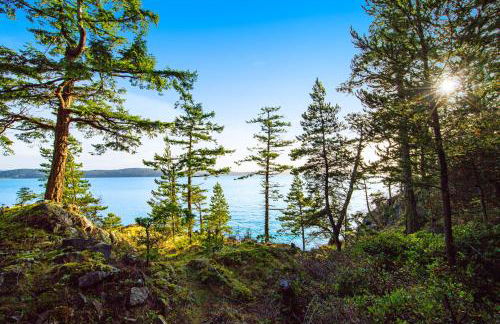 Sound Serenity - Foto 39