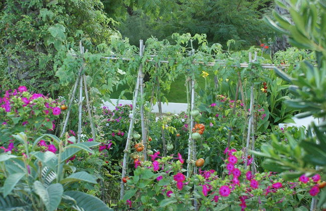 Hamilton Court Apartamentos - Photo 46