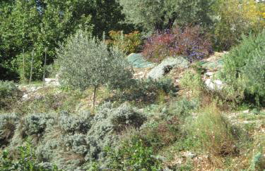 Gîte Le Mas de Molines - Foto 12