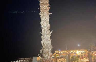 VILLENEUVE LOUBET PLAGE- Entre NICE et CANNES - Foto 79