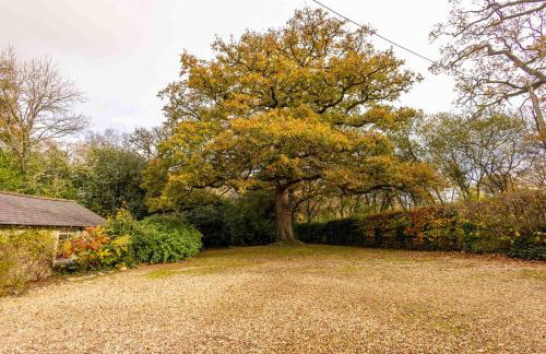 Manor Farm House - Foto 35