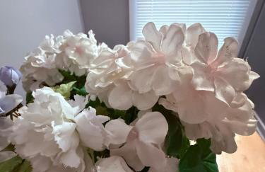 Eagle Pamir Guest House - Foto 10