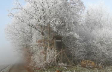 Charlys Bleibe Gastunterkunft inmitten der Natur - Foto 34